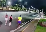 차도를 점령한 런닝크루의 최후