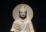 인류가 사람되기까지의 눈물겨운 여정