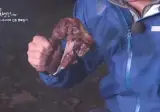 자연인이 구워준 토종닭 식감 ㄷㄷㄷㄷ