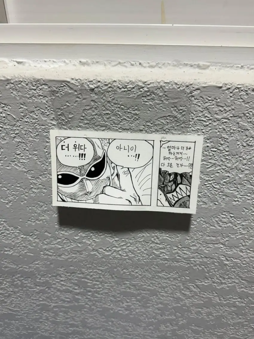 213123123.jpeg