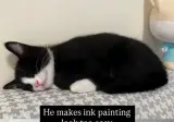 쉽게 고양이 그리는법.mp4