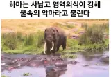 강함에는 수식어가 필요 없다