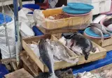 " 어느 수산시장 위생 근황 ..... " . jpg