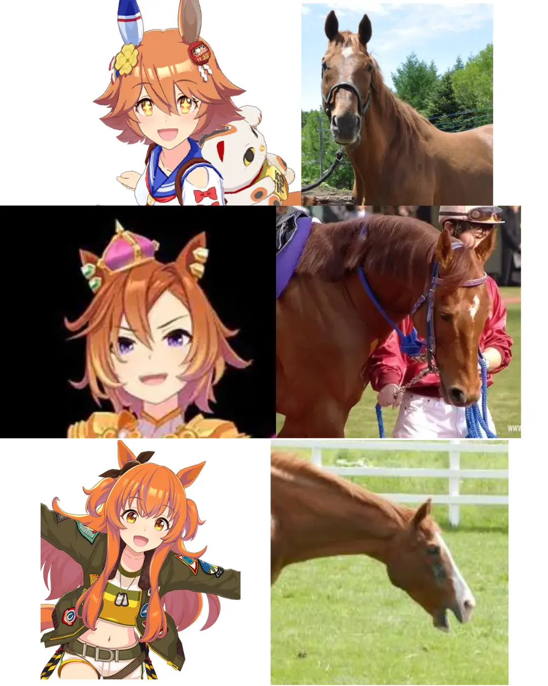 xzpg85dihtrg1.png