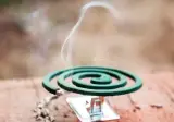 진짜 어르신들만 아는 모기 기피제.jpg