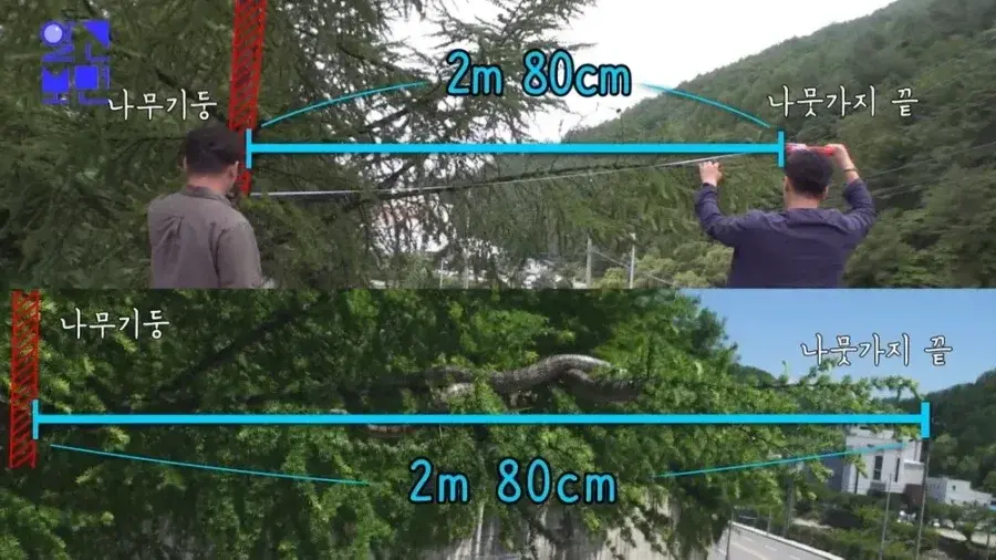 20260908222302_zsbKiNGwxV.webp