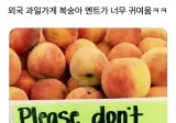 외국 과일가게 멘트가 너무 귀여움.jpg