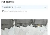 동생집 도배해준다고 큰소리친 형의 최후