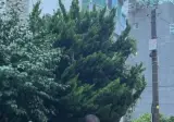 숏컷한 한지은.jpgif