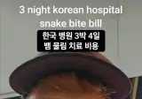 🐍뱀에 물린 외국인…. 3일 입원 후 159만원 나온 뒤 댓글 반응