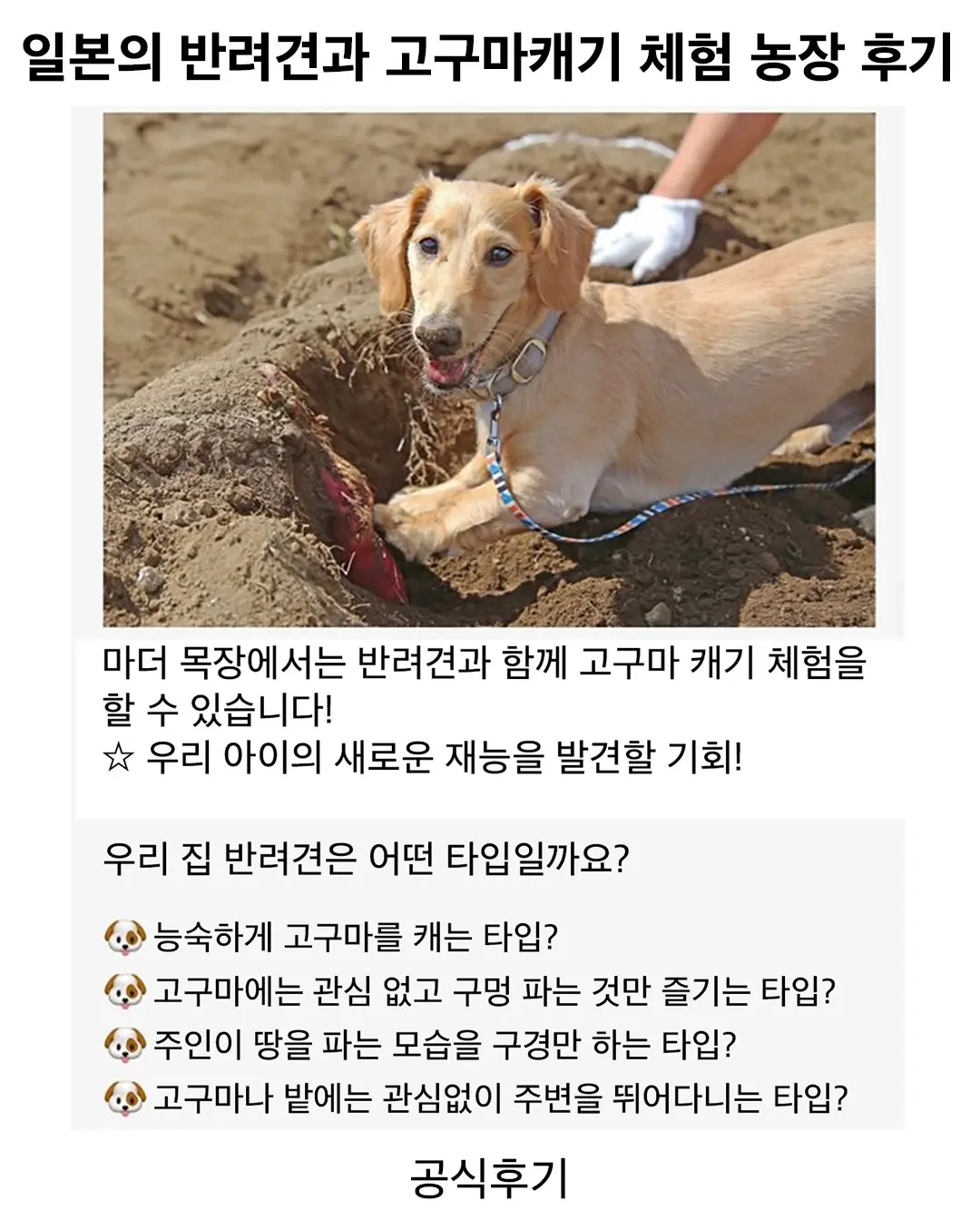 Screenshot_20260909_141341_Instagram.png