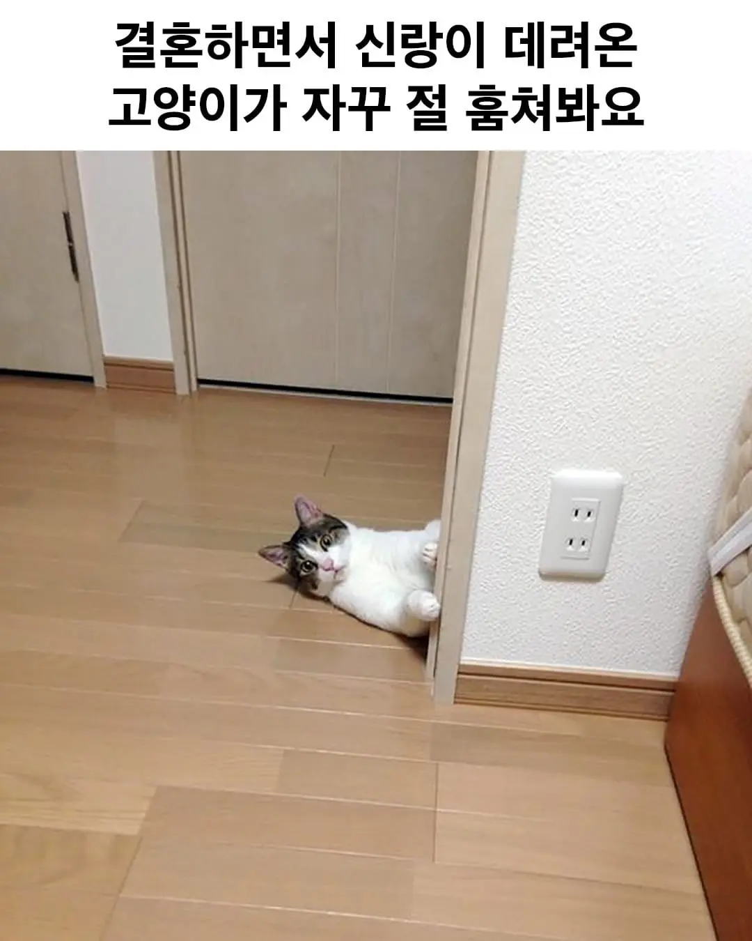 IMG_8035.jpeg
