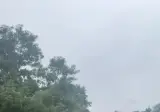 강한 화력을 좋아하는 사람을 위한 총