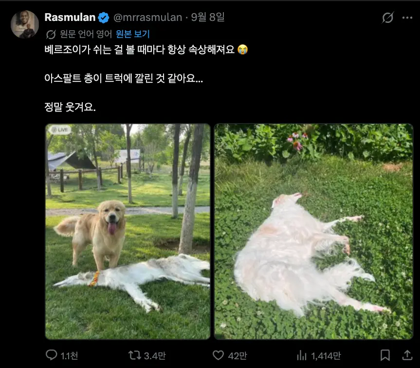 스크린샷 2026-09-09 20.08.36.png