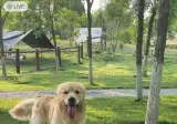 트럭에 깔린 거 아님