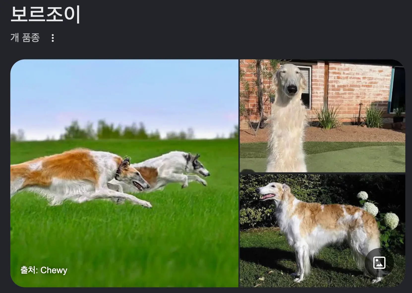 스크린샷 2026-09-09 20.10.16.png