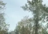 죽을뻔한 사람 살려주기