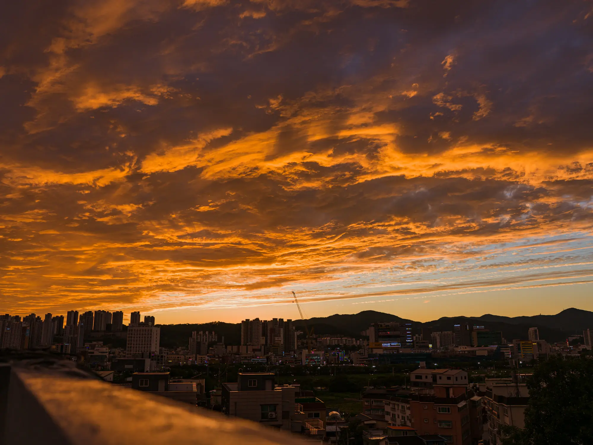 1789036529.webp