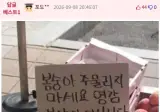 복숭아 가게의 멘트