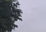 8기통 제네시스 랠리카