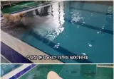 리트리버 6시간 놀아주자 생긴 일..