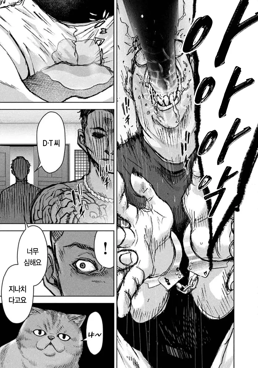 04.png