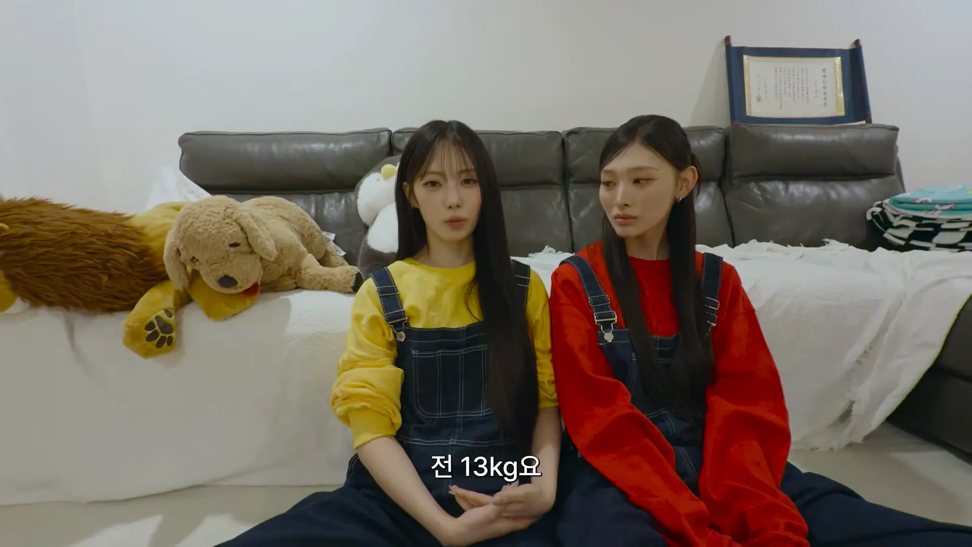 살과의 전쟁 20kg의 진실 00-09-59.png