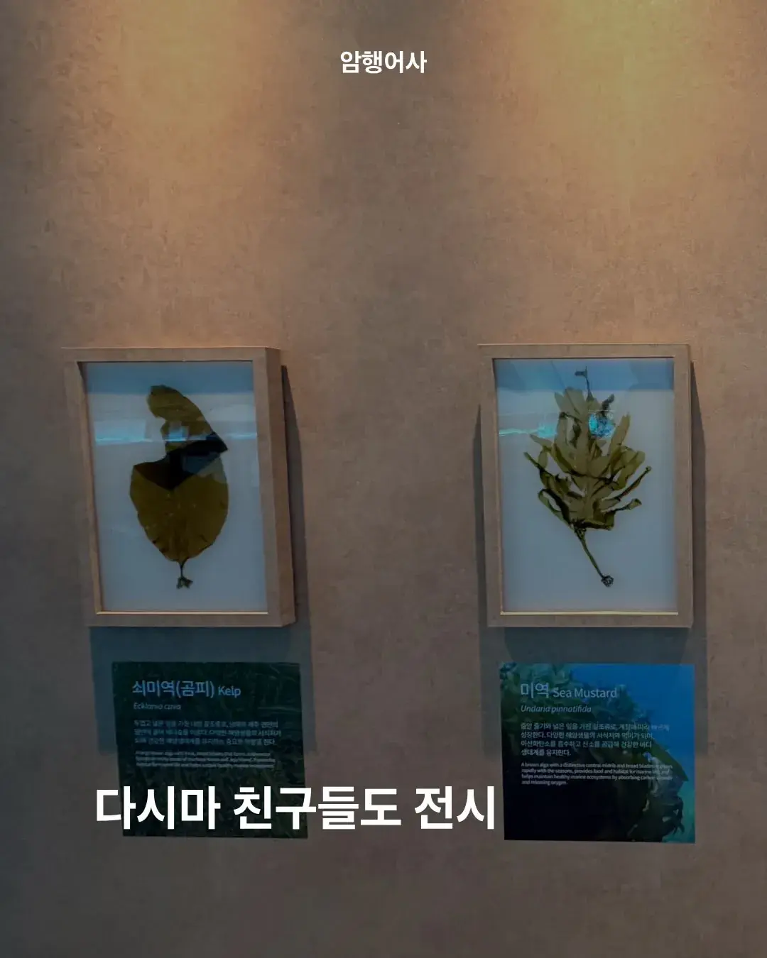 까면 깔수록 공포라는 여수 세계섬 박람회