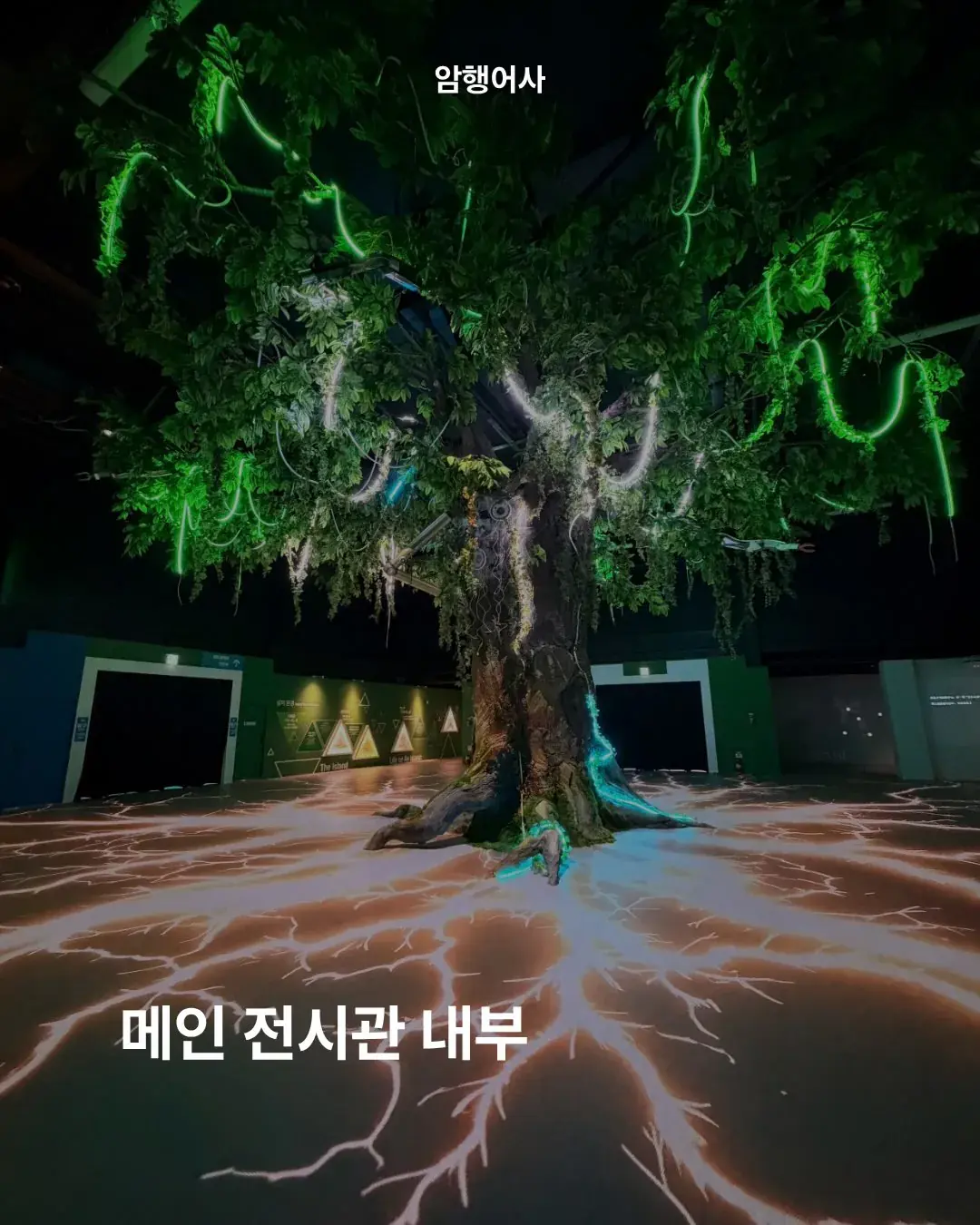 까면 깔수록 공포라는 여수 세계섬 박람회