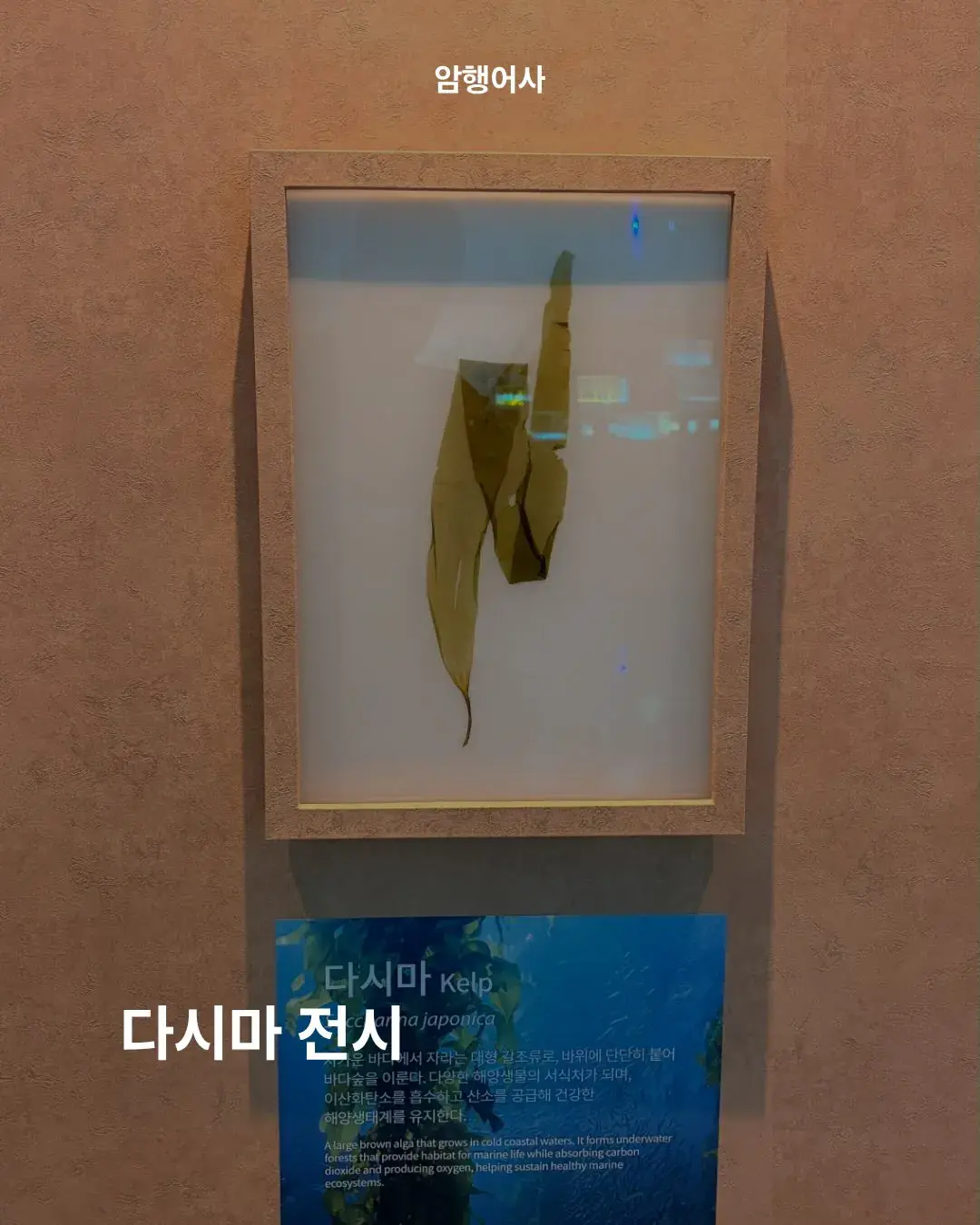 까면 깔수록 공포라는 여수 세계섬 박람회