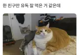 한 친구만 유독 잘먹은것 같다.jpg