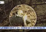 수십억 들여 숲 사놓고 아무것도 안한 이유.jpg