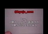 아빠 도시락 싸주는 효자 컨셉 계정 근황