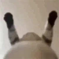 1000020756