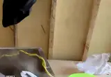 벽이 느껴진다는 인도 노가다판의 점심식사