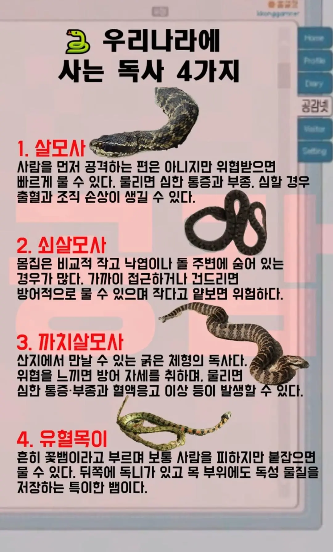 Screenshot_20260913_233236_Gallery.jpg