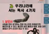 우리나라에 사는 독사 4가지
