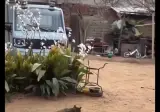 눈치없이 방해하는 강아지.gif