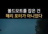 볼드모트가 잡은건 해리포터가 아니었다