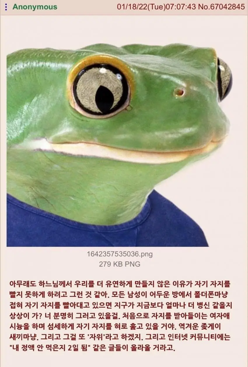 singlebungle1472-20260914-064652-000-resize.png