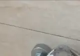 " 용도를 전혀 알 수 없다는 샤워기 ... " . gif