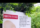 개에게 먹이를 주지 마세요.jpg