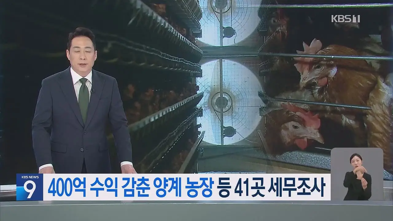 ‘금계란’ 수익 수십억 축소 신고…41개 업체 세무조사 _ KBS 뉴스.mp4_20260914_231019.370.jpg