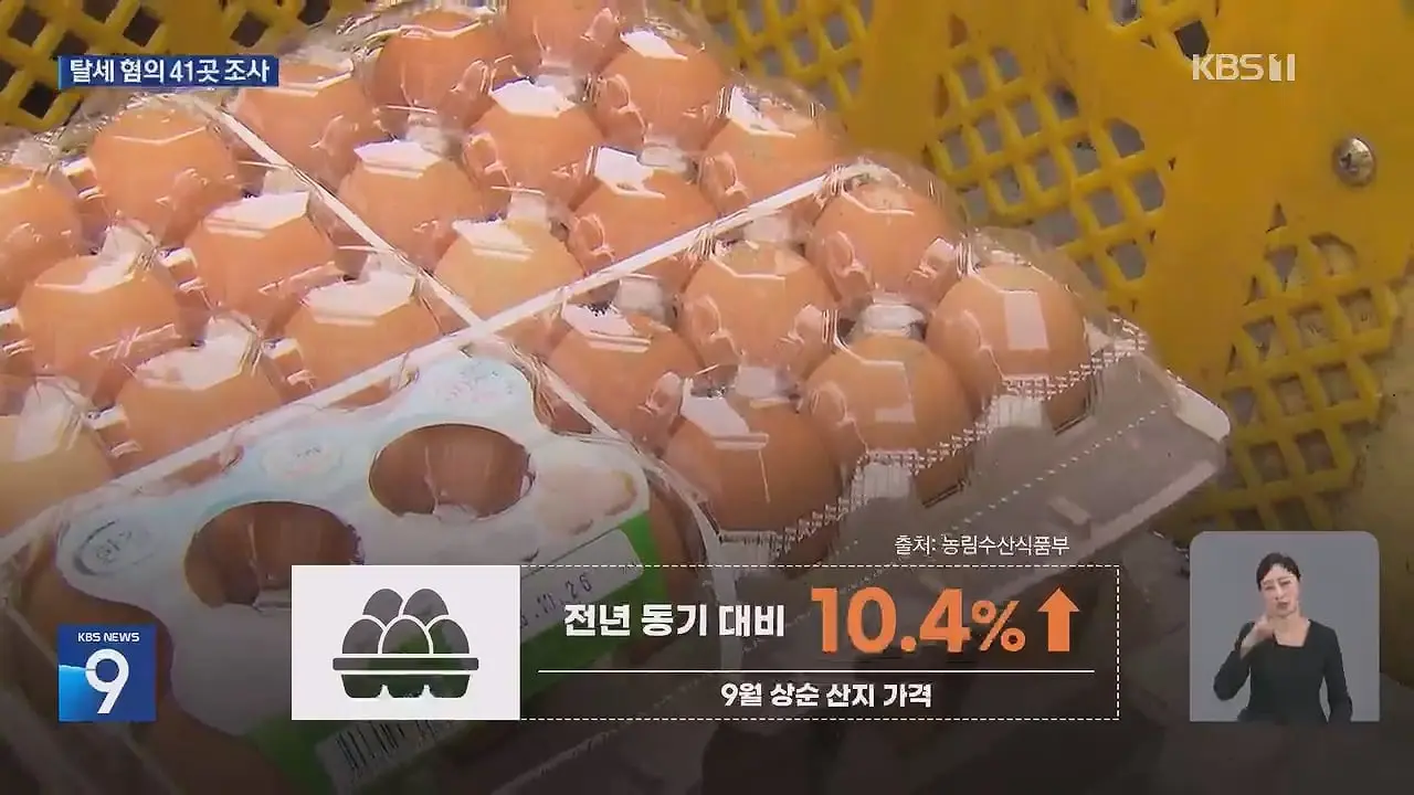 ‘금계란’ 수익 수십억 축소 신고…41개 업체 세무조사 _ KBS 뉴스.mp4_20260914_231028.066.jpg