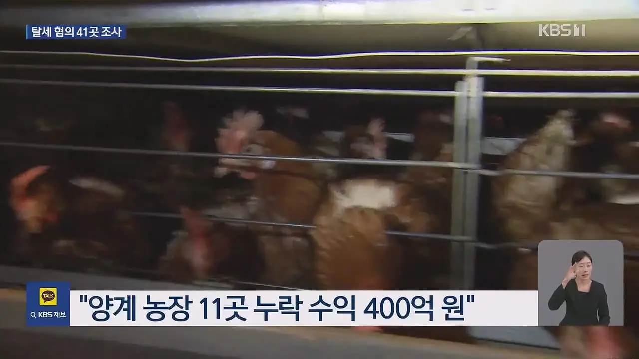 ‘금계란’ 수익 수십억 축소 신고…41개 업체 세무조사 _ KBS 뉴스.mp4_20260914_231033.793.jpg
