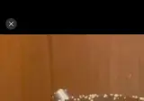 일본식당의 간장