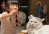 감기 걸려 어린이집 못 간 딸이랑 놀아주는 고양이