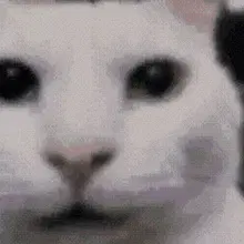 1000020762