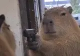 지금까지 본 AI 영상 중에 연기력이 가장 좋음.avi