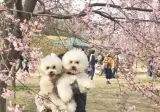 엄마 VS 아빠 안겼을때 온도 차이.